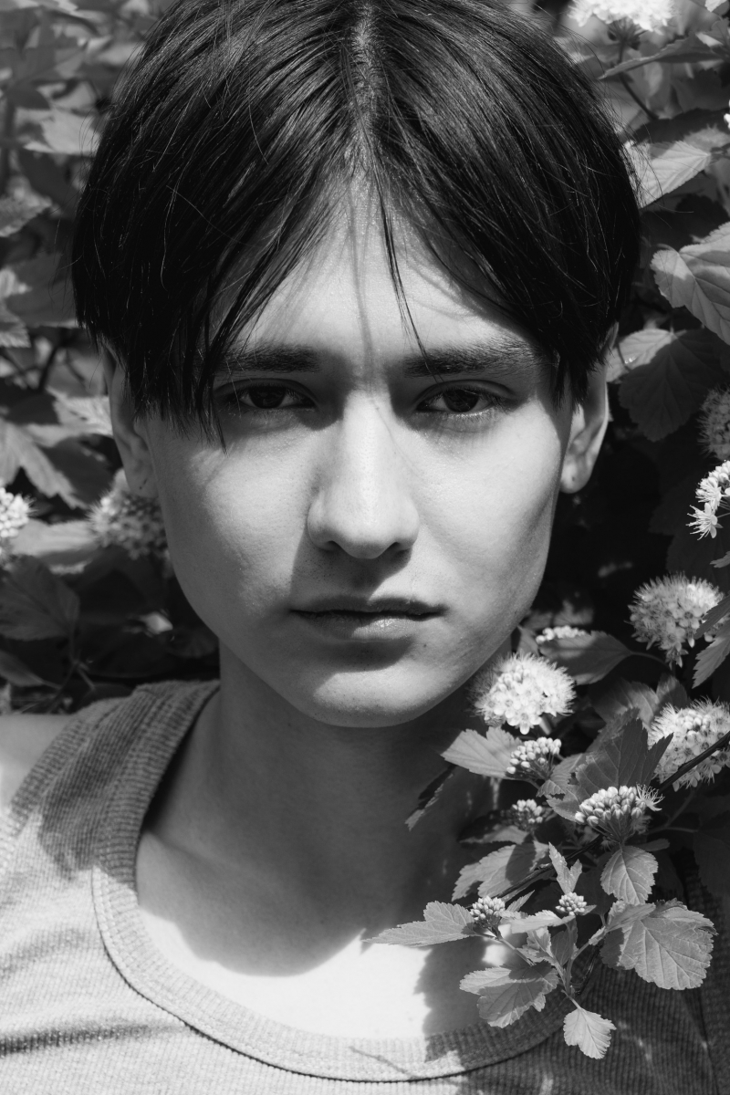BOGDAN 